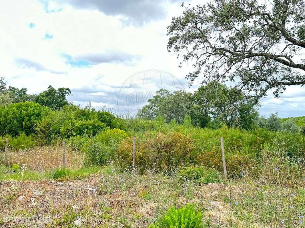 Terreno  para venda - Grande imagem: 5/6