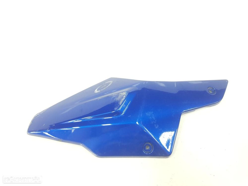 MOLDURA BMW F 900 R - 1