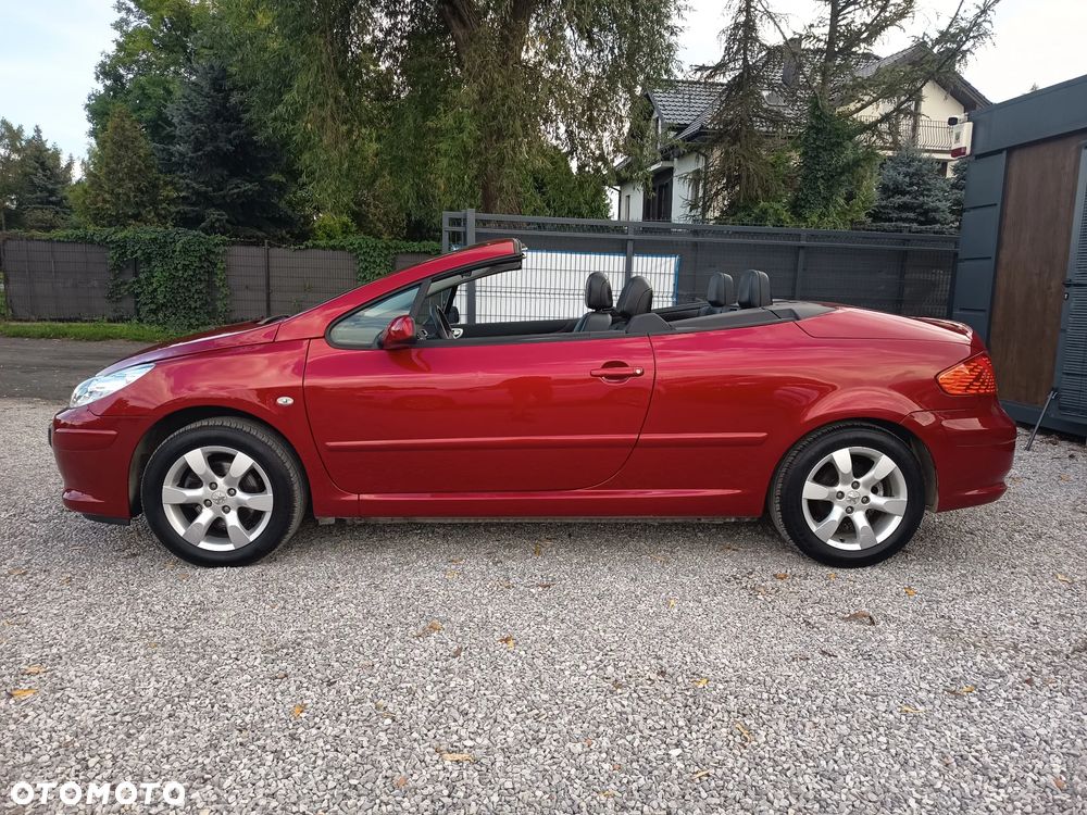 Peugeot 307 CC 110 Filou - 14