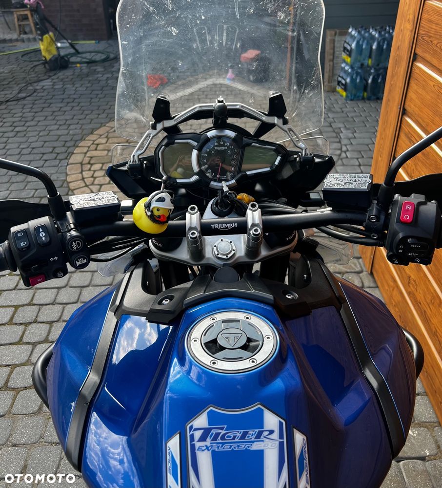 Triumph Tiger - 10