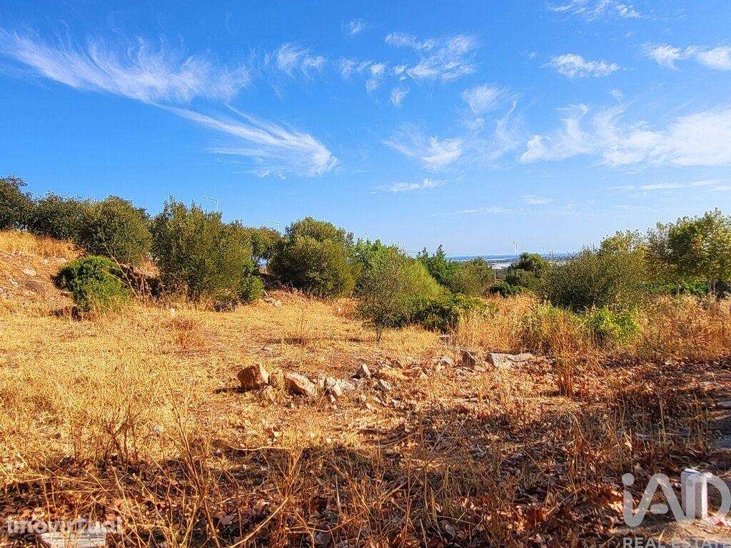 Terreno em Luz de Tavira e Santo Estêvão de 700,00 m2 - Grande imagem: 3/4