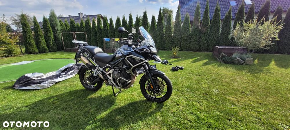 Triumph Tiger - 6