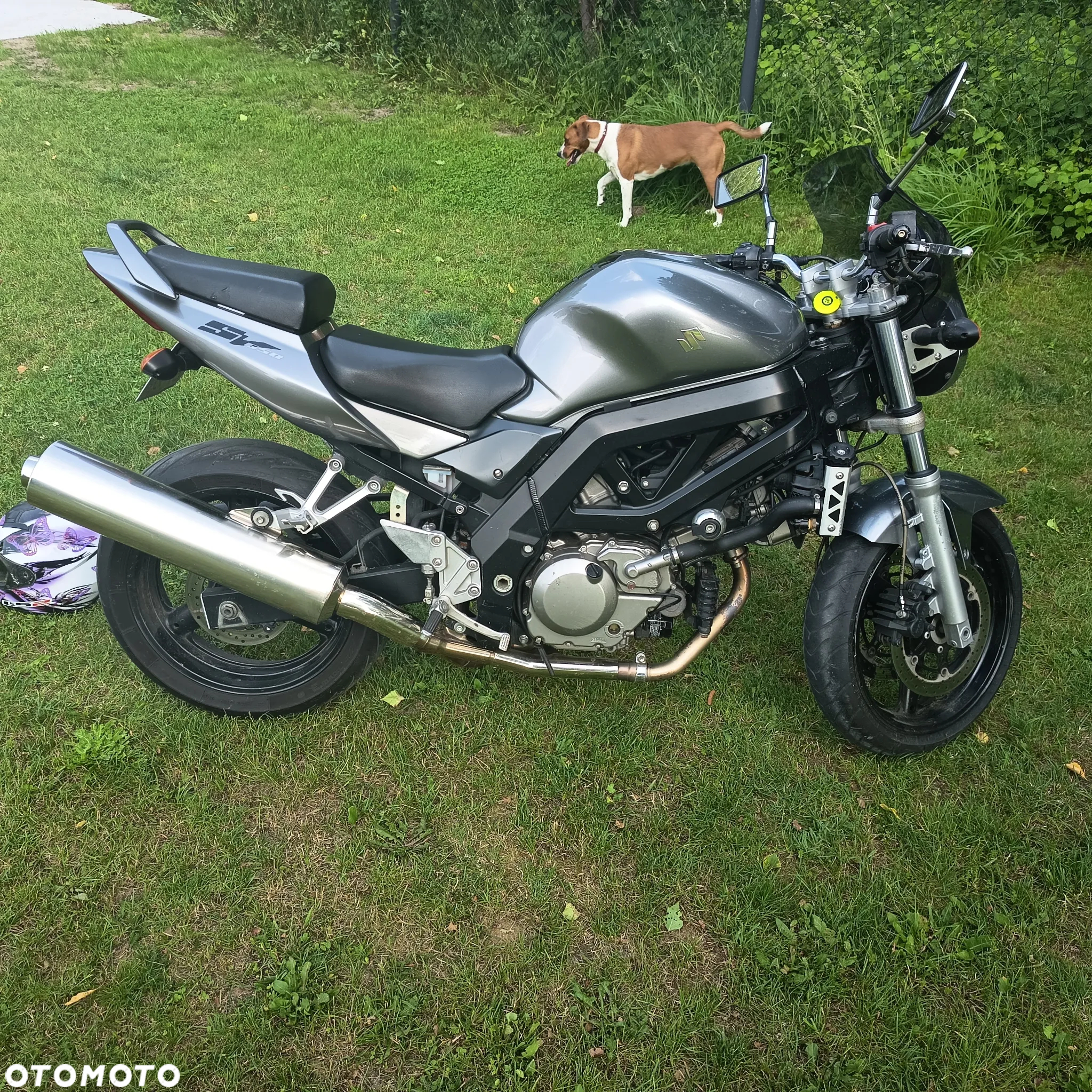 Suzuki SV - 5