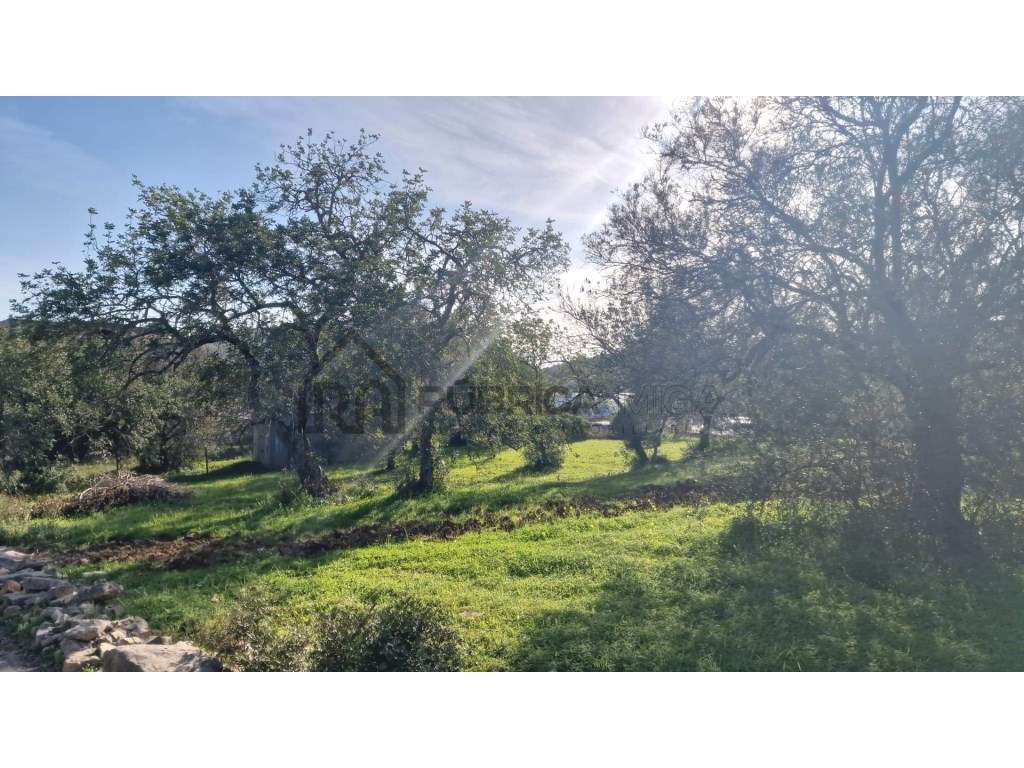 Terreno urbano para construção - São Brás de Alportel - Grande imagem: 4/17