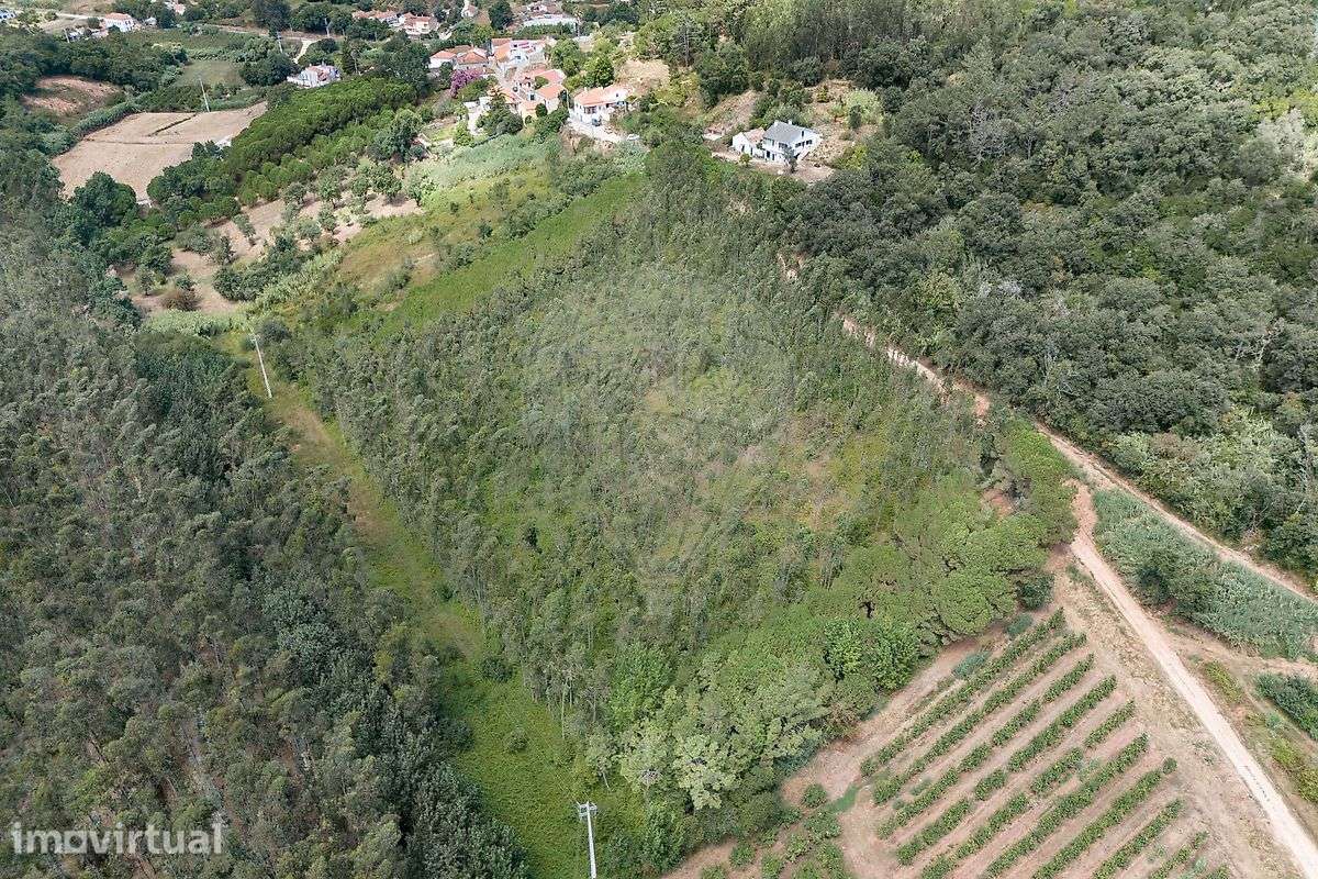 Terreno  para venda - Grande imagem: 3/17