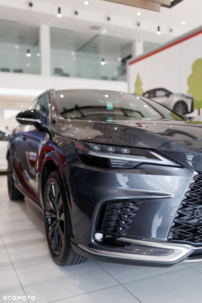 Lexus RX - 24
