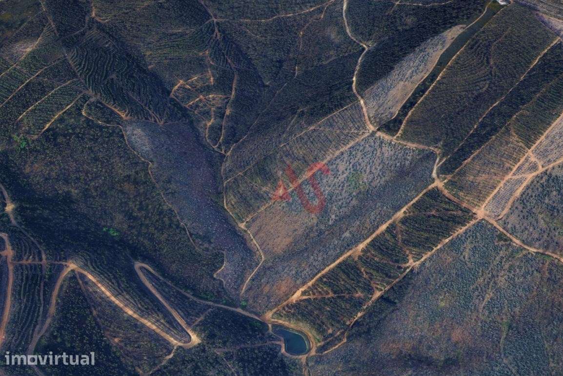 Terreno Florestal com 20.000m2 em Silvares, Lousada - Grande imagem: 2/2