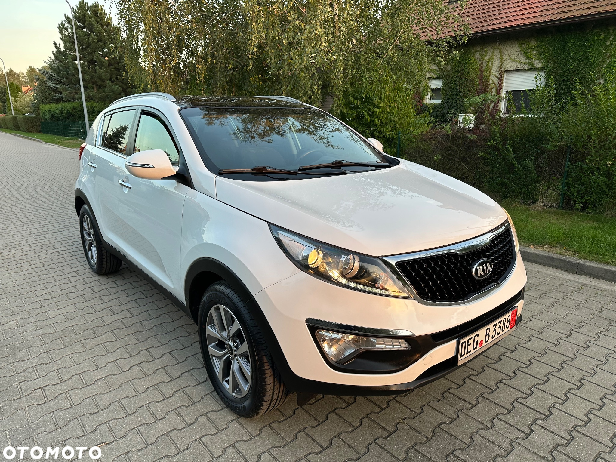 Kia Sportage 1.6 GDI Business Line 2WD - 2