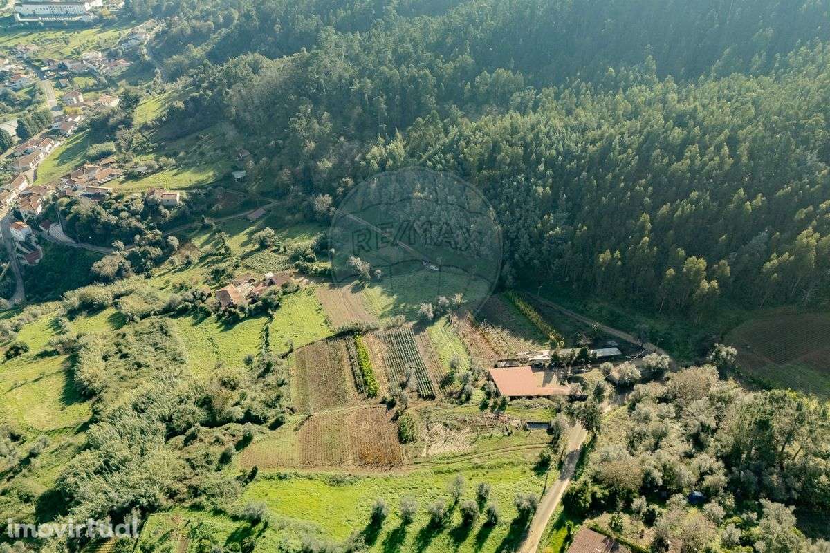 Terreno  para venda - Grande imagem: 5/15