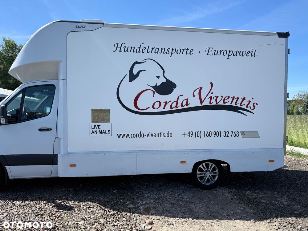 Mercedes-Benz Mercedes sprinter 319 cdi 3.0 V6 full opcja - 4