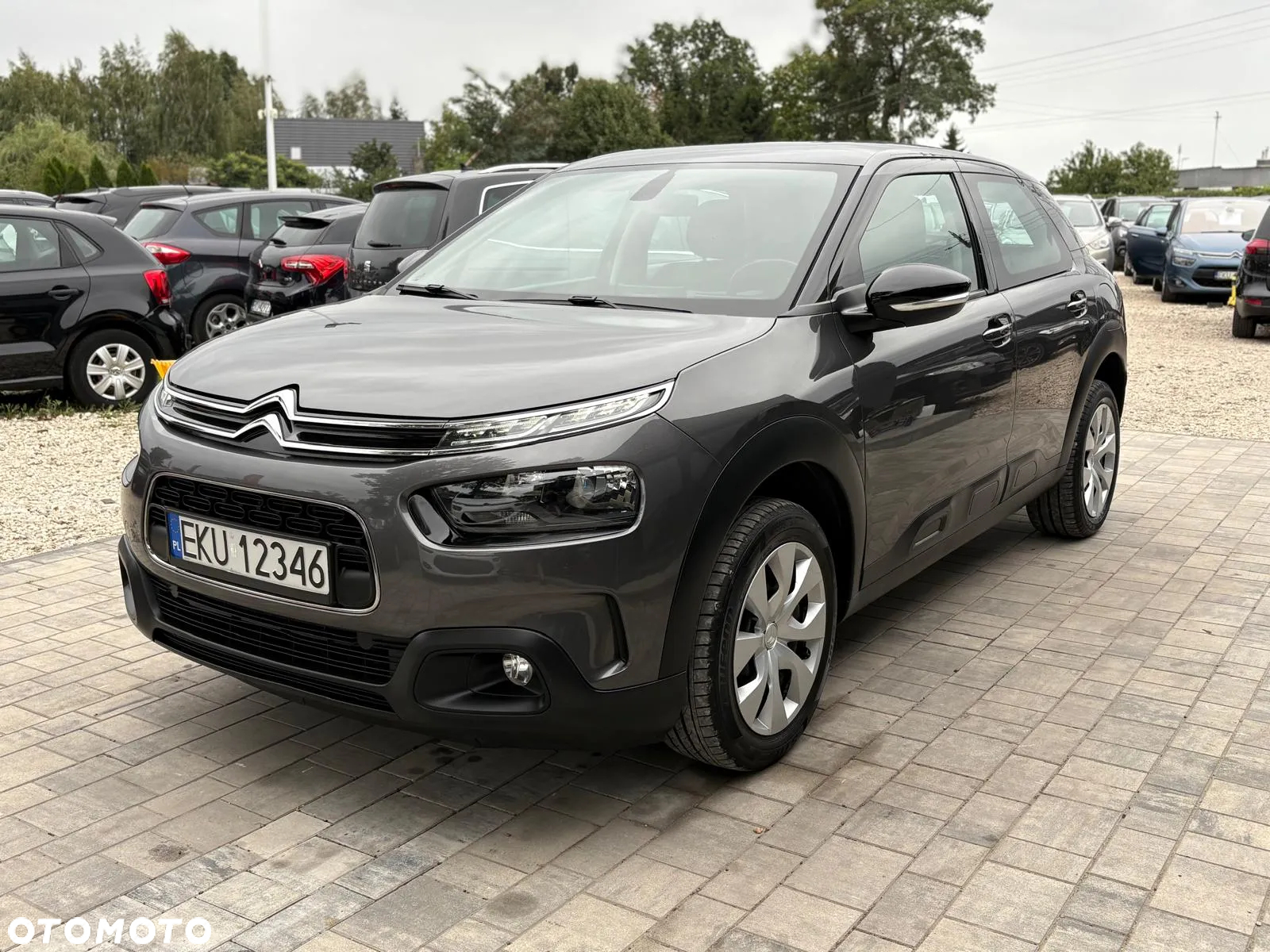 Citroën C4 Cactus VTi 82 Shine Edition - 4