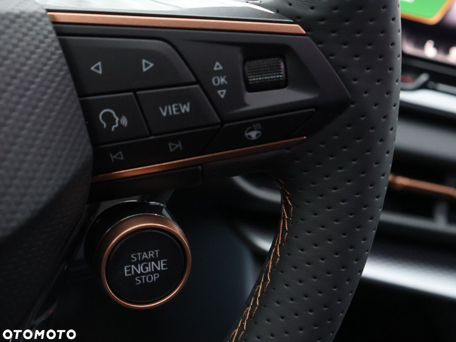 Cupra Terramar 1.5 eTSI mHEV DSG - 21