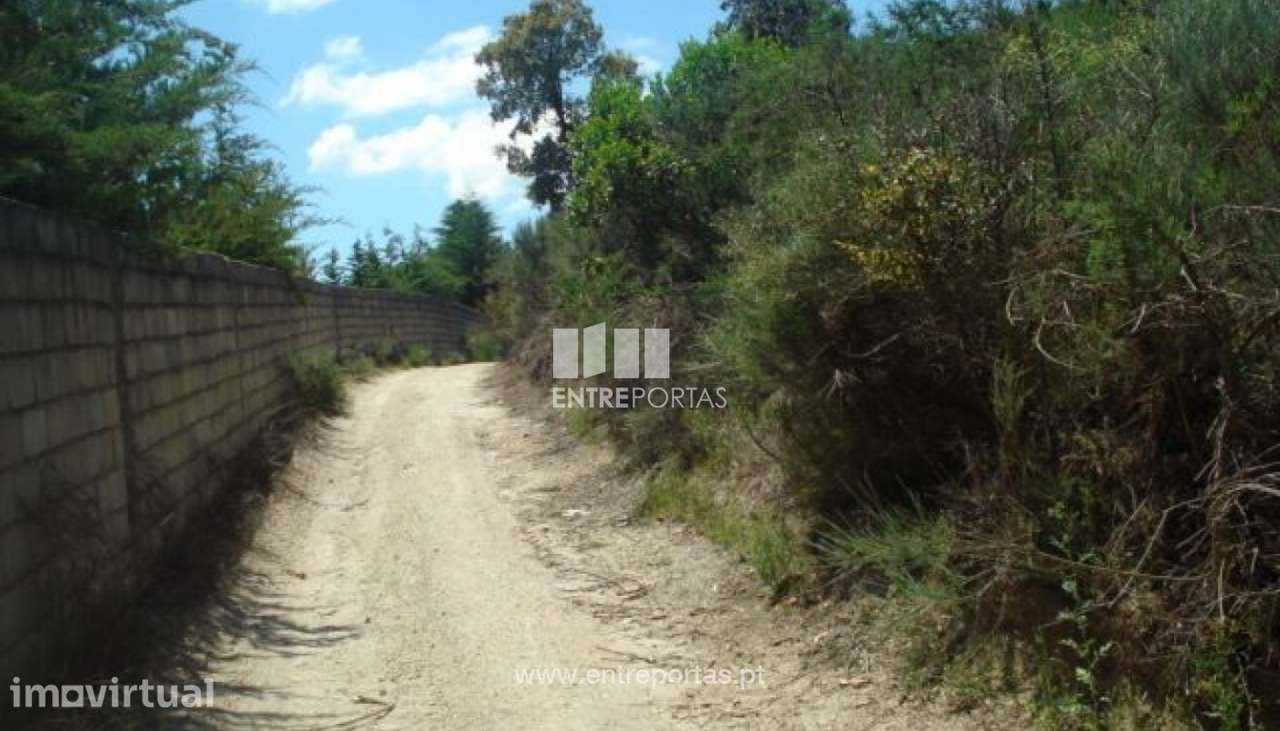 Venda Terreno, junto à estrada, Santa cruz do Douro, Baião - Grande imagem: 3/6