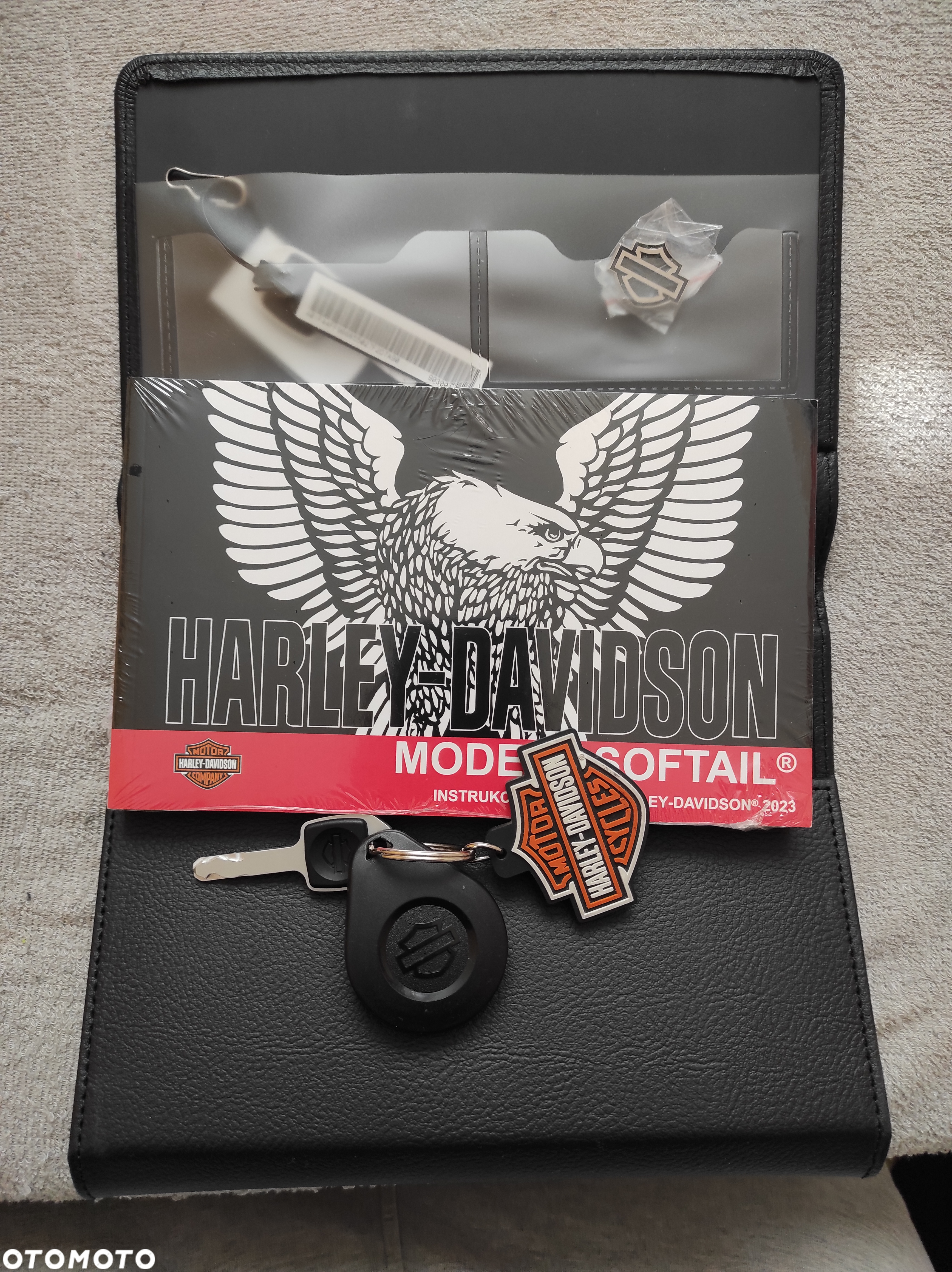 Harley-Davidson Softail - 5