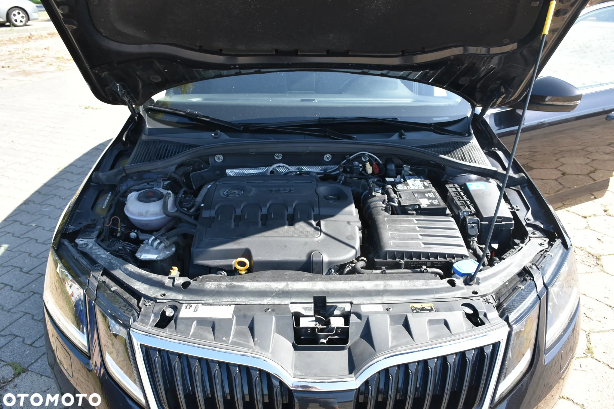 Skoda Octavia 2.0 TDI (Green tec) DSG Style - 20