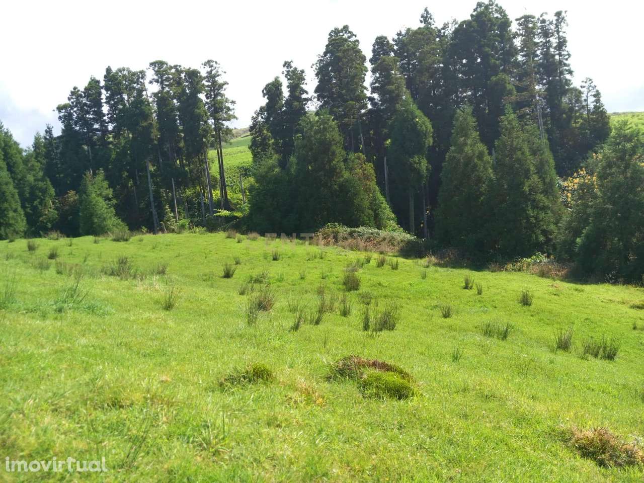 Terreno Rustico. - Grande imagem: 3/4