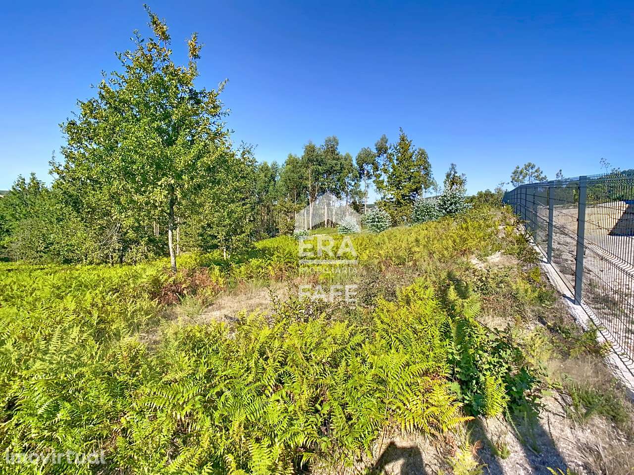 Terreno para construção em Seidões - Grande imagem: 3/13