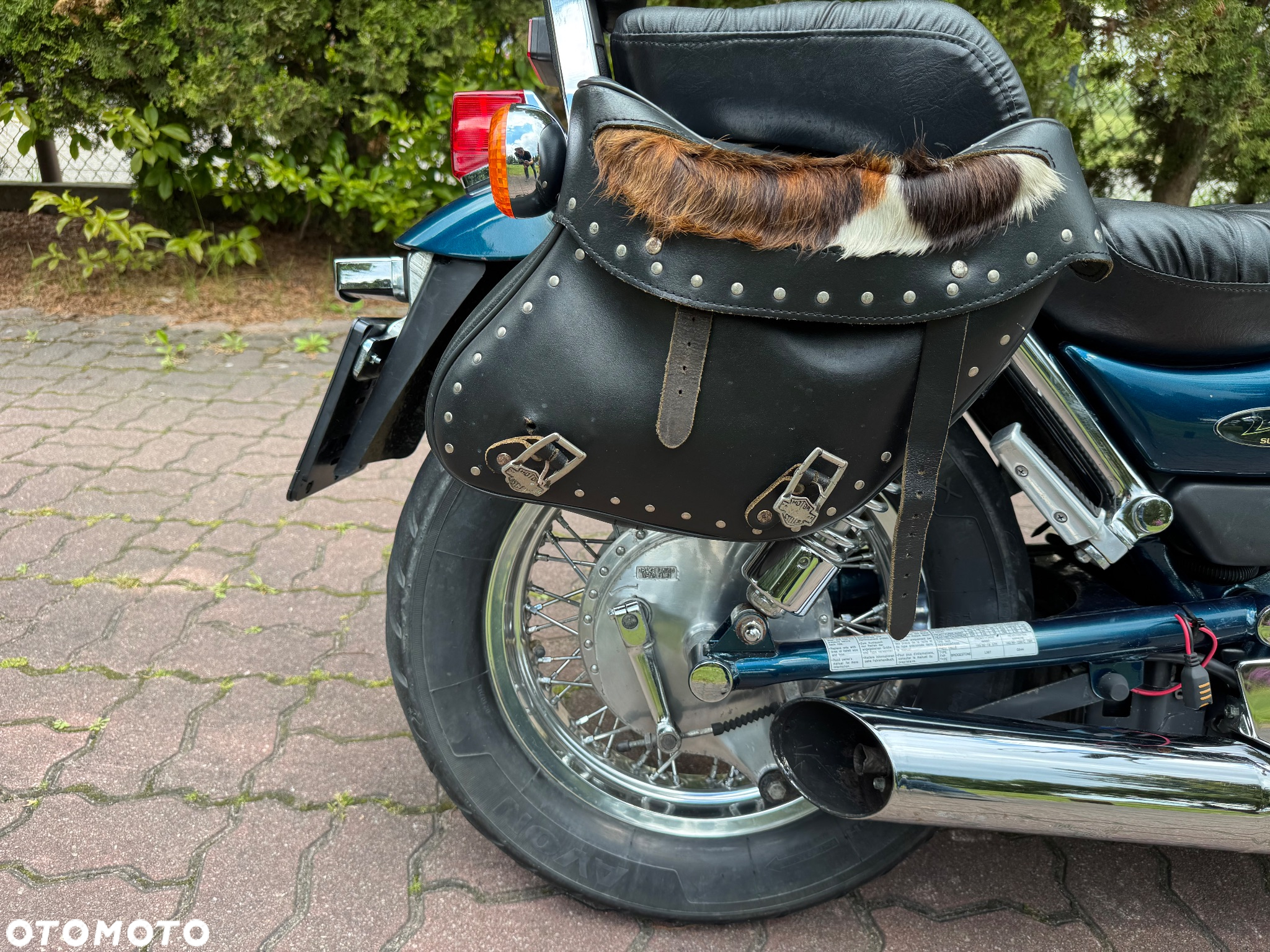 Suzuki Intruder - 12