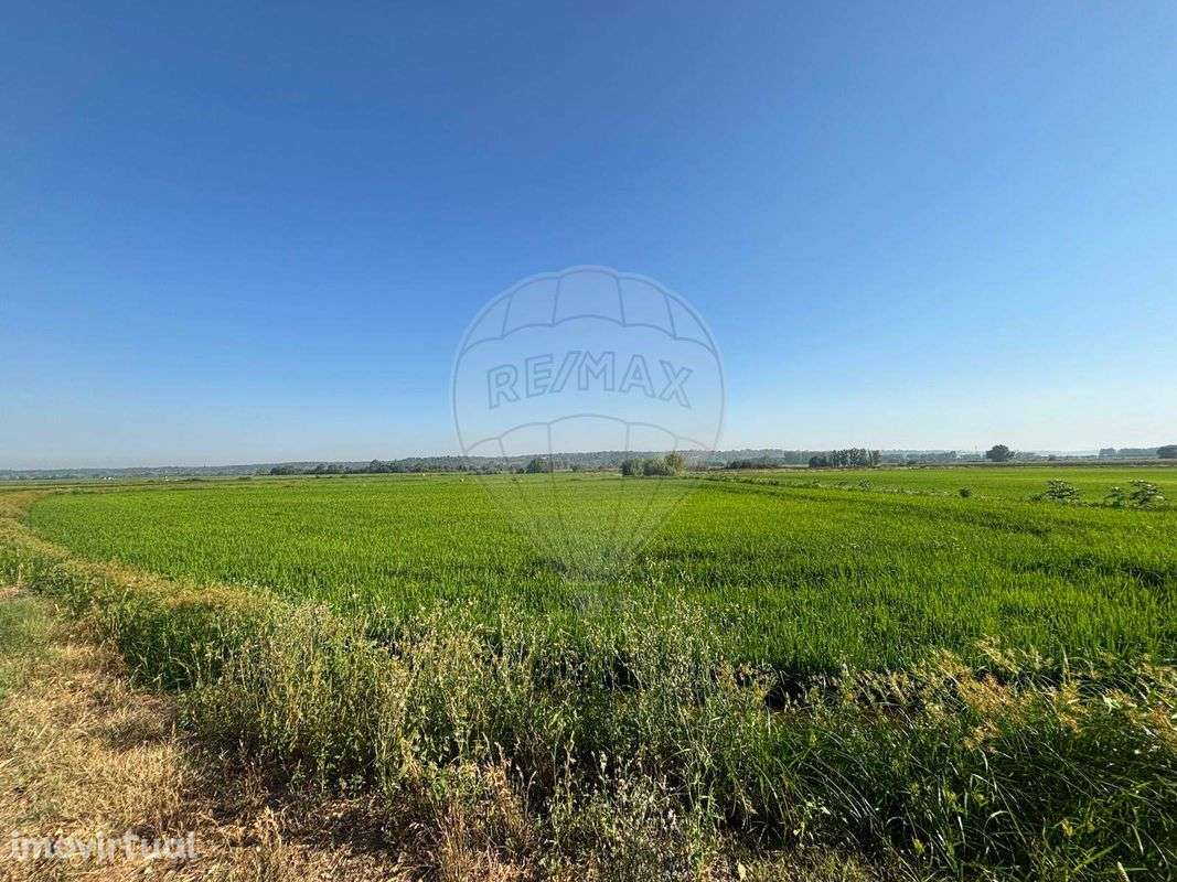 Quinta T2 para venda - Grande imagem: 3/29