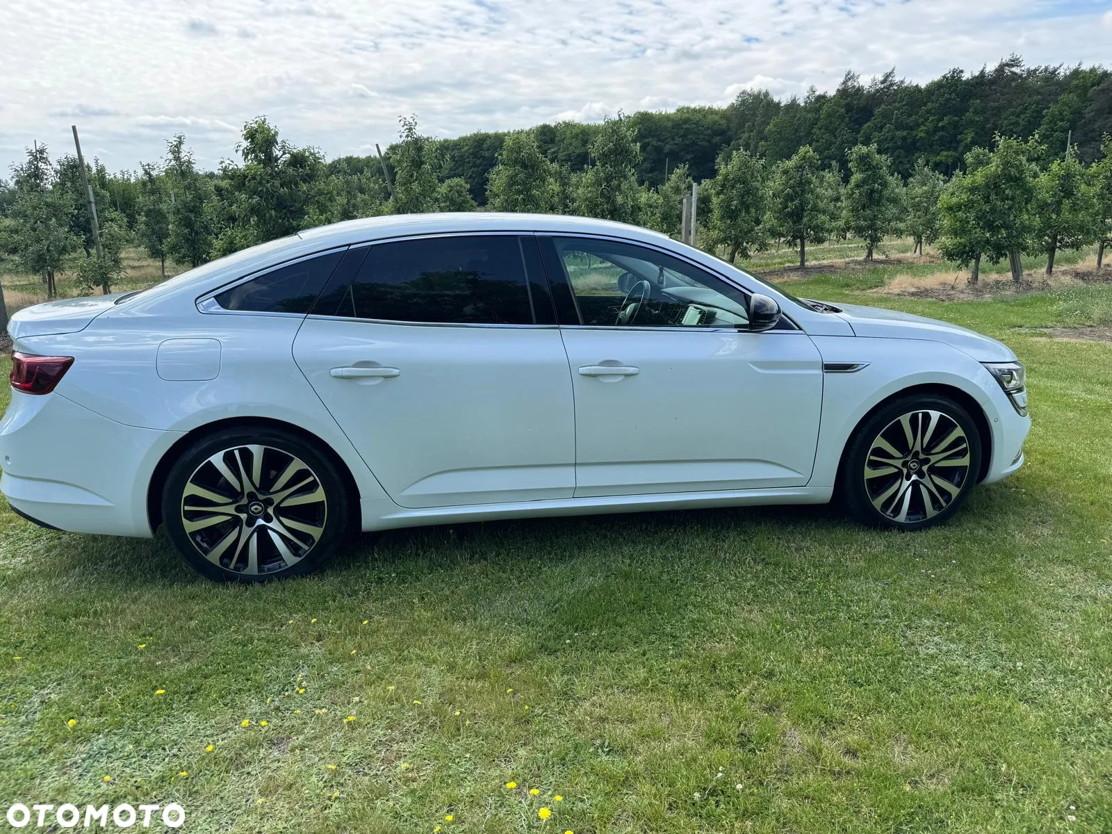Renault Talisman ENERGY dCi 130 INTENS - 5