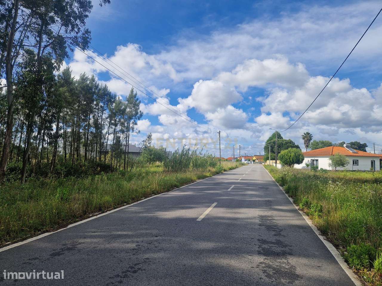 Terreno Urbano na Rua Principal do Andal, Vagos - 3590m² com Acesso à - Grande imagem: 2/4