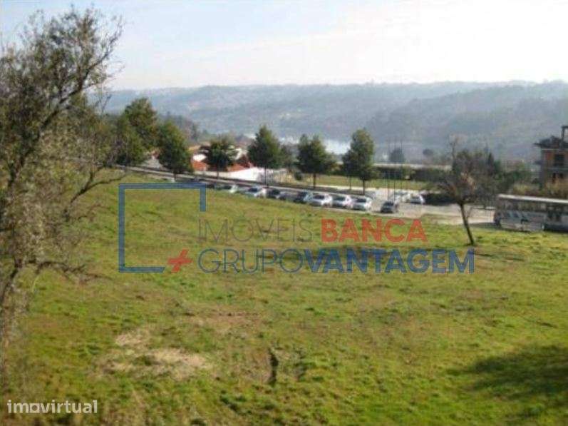 LOTE CONSTRUÇÃO EM ALTURA - SANTA COMBA DÃO - Grande imagem: 2/11