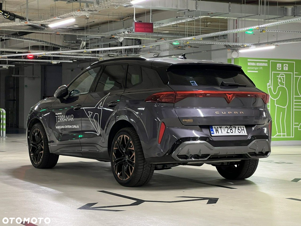 Cupra Terramar - 5