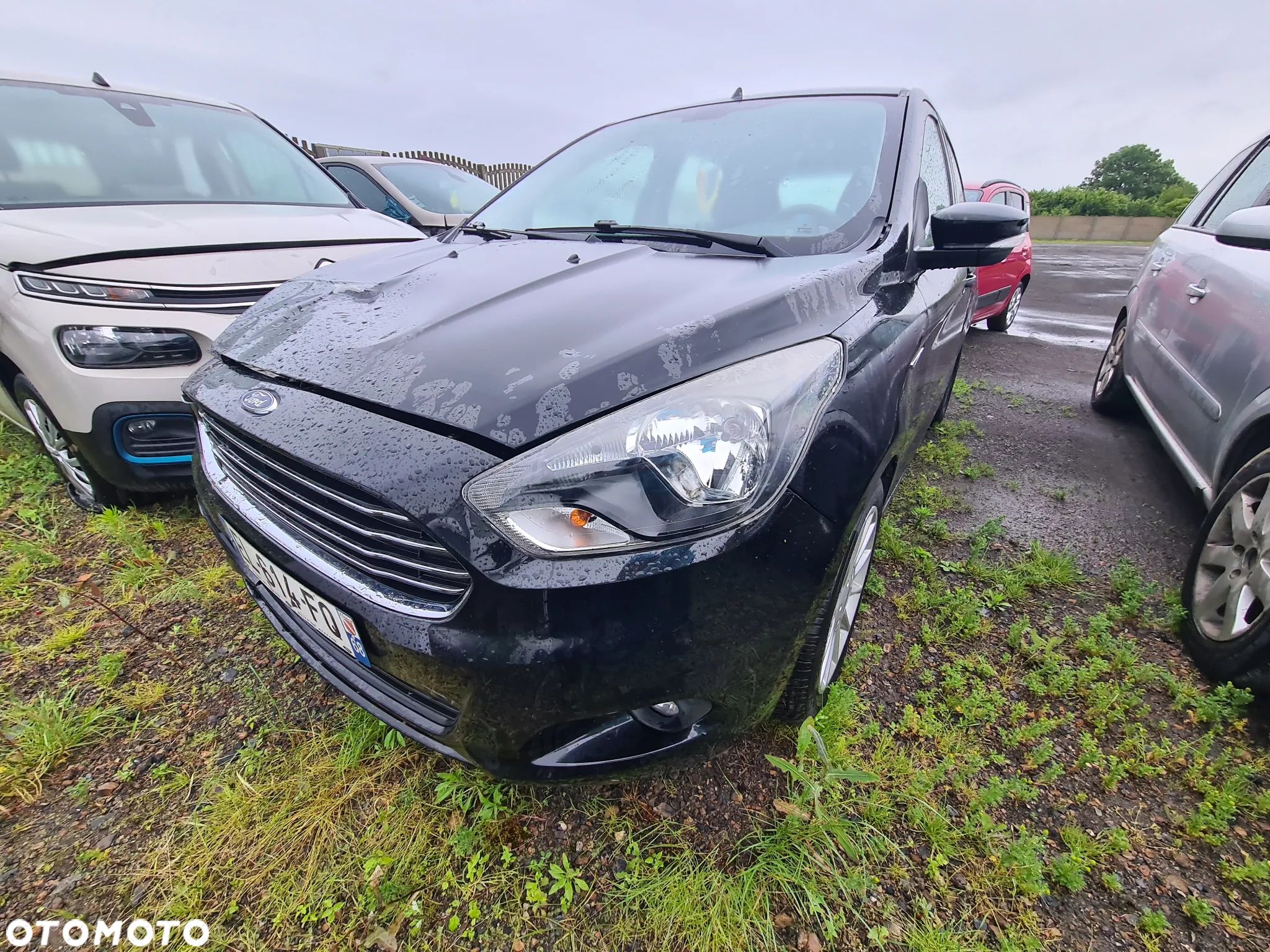 Ford Ka+ 1.2 S&S Black - 1