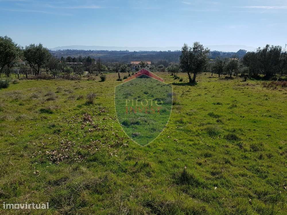 Terreno  Venda em Espinho,Mangualde - Grande imagem: 3/9
