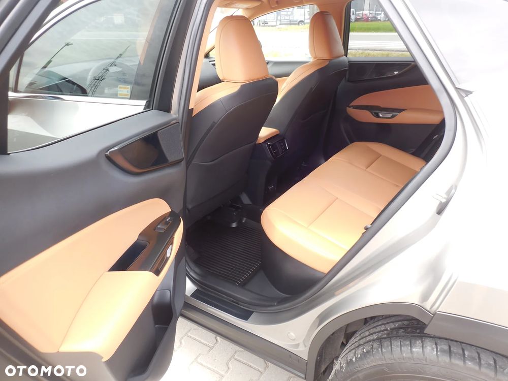 Lexus NX - 22