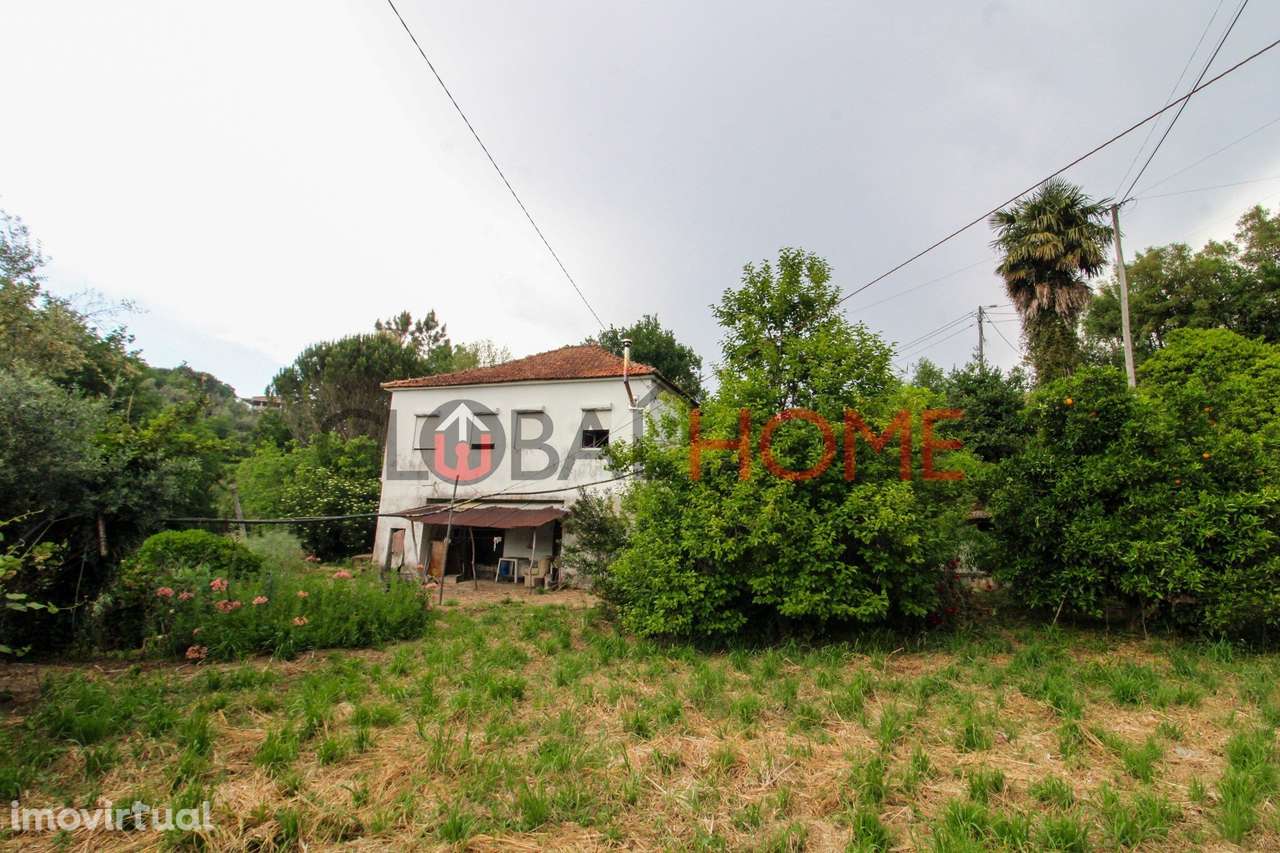 Moradia T4 Independente com Terreno em Melres - Grande imagem: 3/29