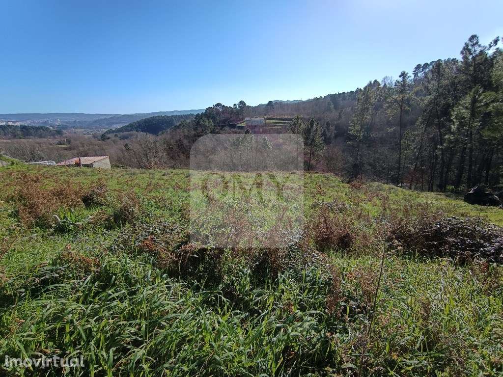 Terreno em Quintela, Vila Marim, Vila Real - Grande imagem: 4/9