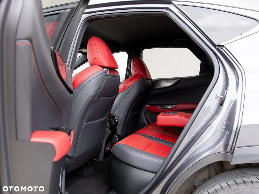 Lexus NX - 29