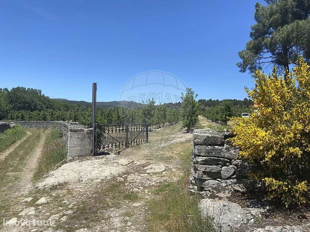 Quinta  para venda - Grande imagem: 2/10