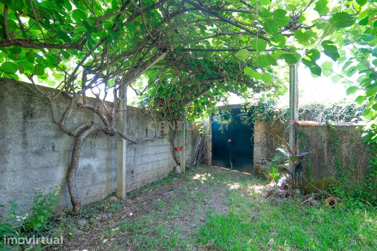 Quinta - Grande imagem: 3/35