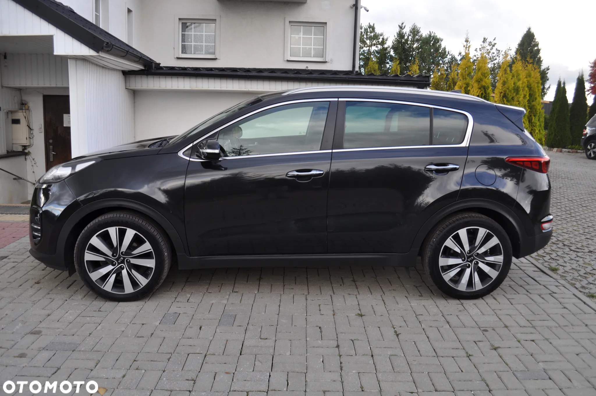 Kia Sportage 1.6 CRDI AWD Eco-Dynamics+ (48V M-H) DCT Black Edition - 5