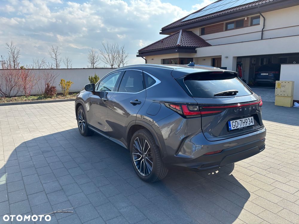 Lexus NX 450h+ Omotenashi AWD - 3