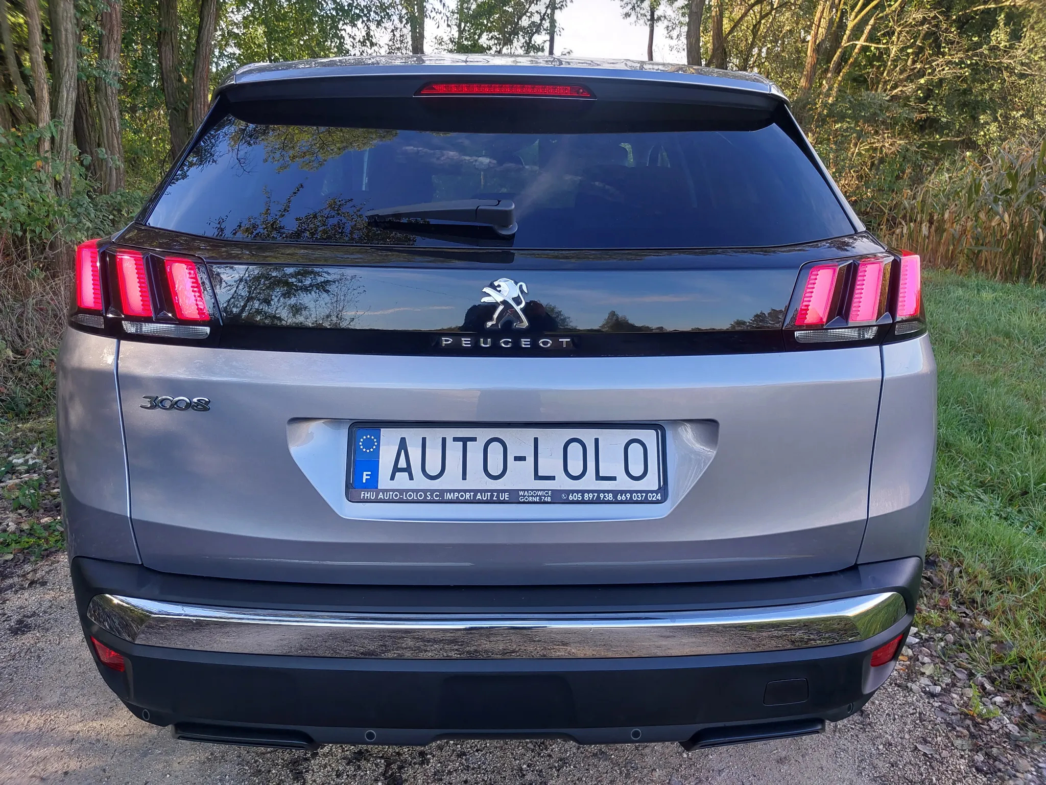 Peugeot 3008 - 8