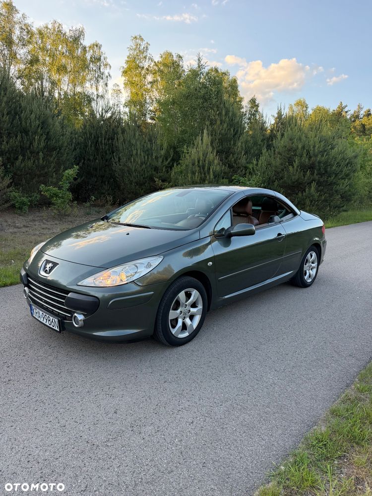 Peugeot 307 CC 2.0 Intense - 13