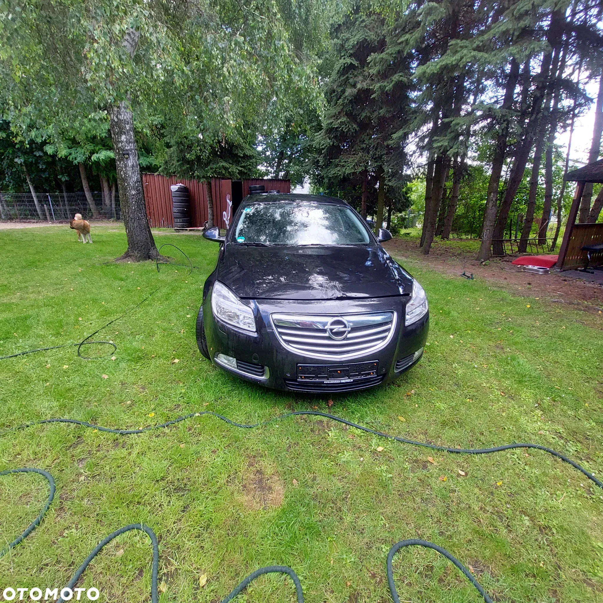 Opel Insignia - 16