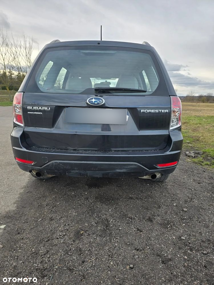Subaru Forester - 4