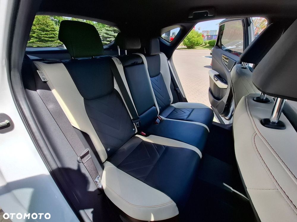 Lexus NX - 24