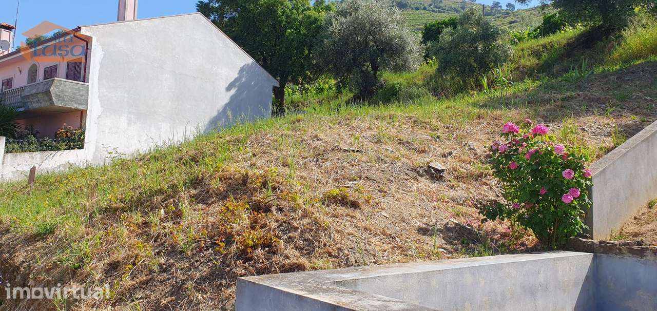 Terreno no Douro - Lameirão - Folgosa - Grande imagem: 4/4
