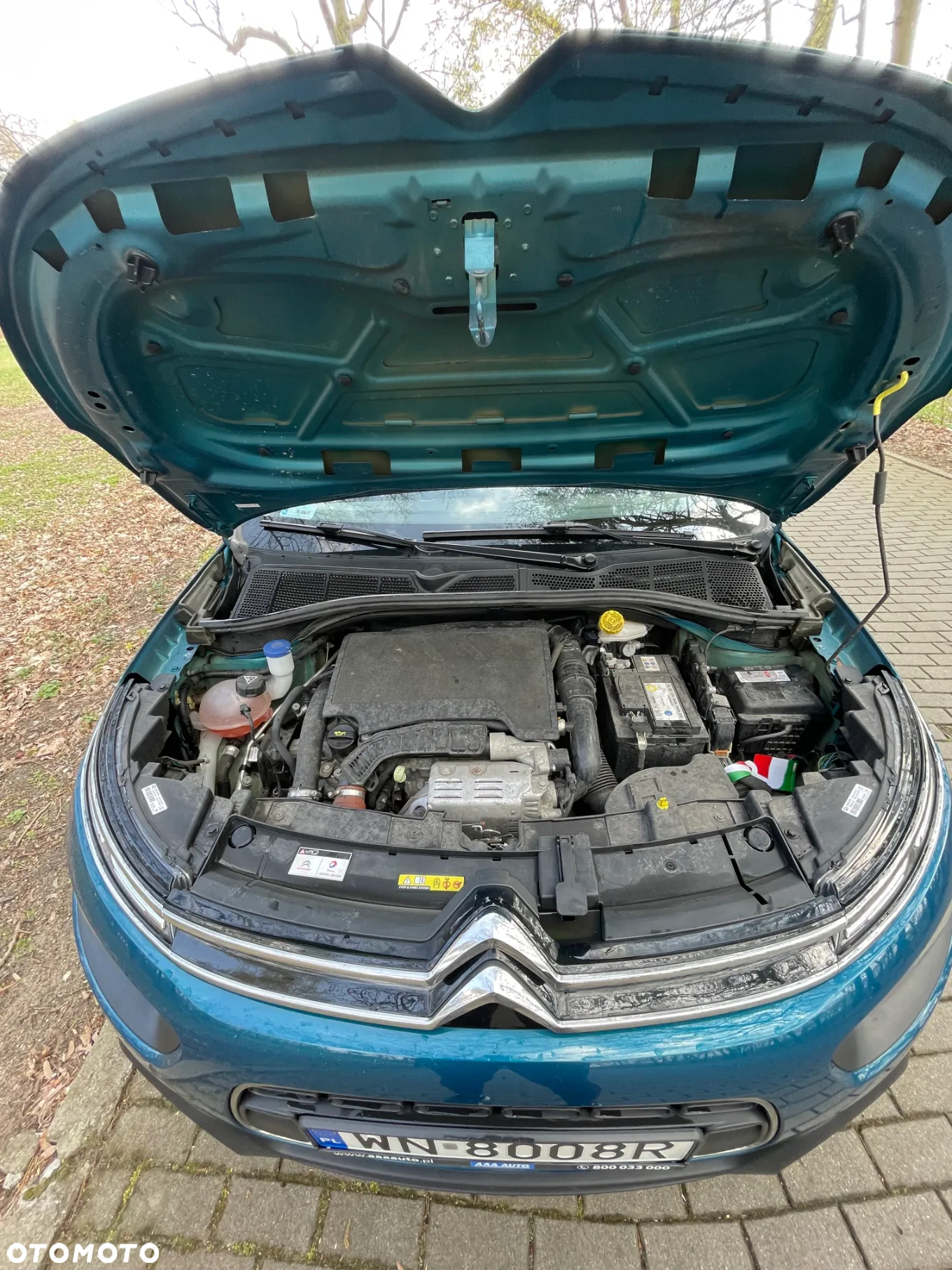 Citroën C4 Cactus 1.2 PureTech GPF Feel Pack - 15