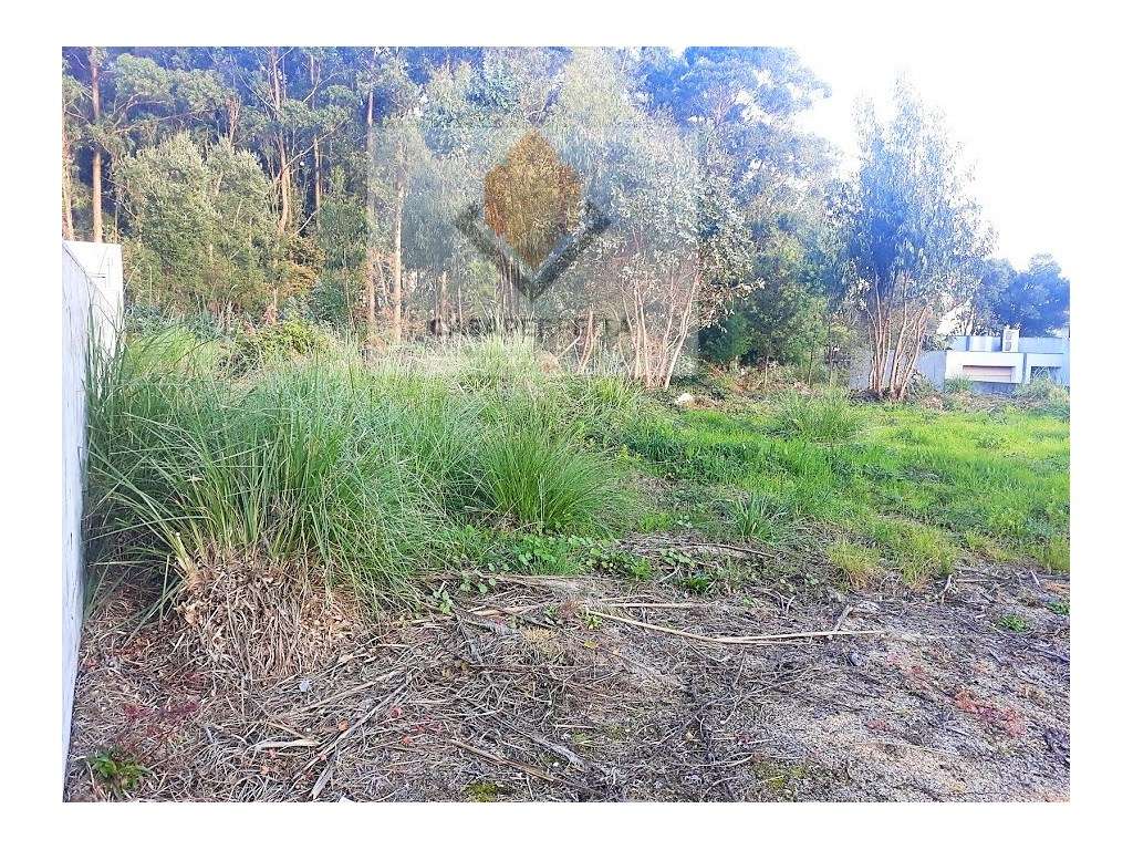 Terreno para construção de Moradia - Grande imagem: 3/4