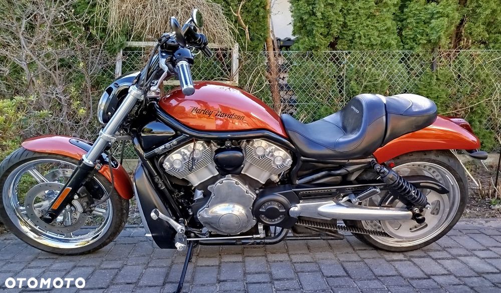 Harley-Davidson Softail V-Rod - 1