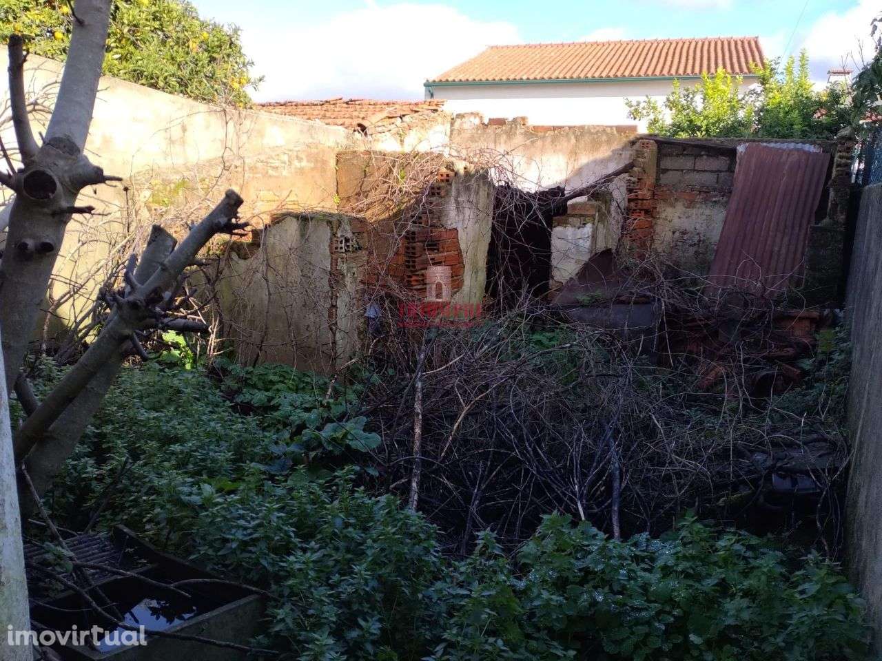 Moradia T2 Recuperar 113m2 São Miguel do Rio Torto, Abrantes - Grande imagem: 3/8