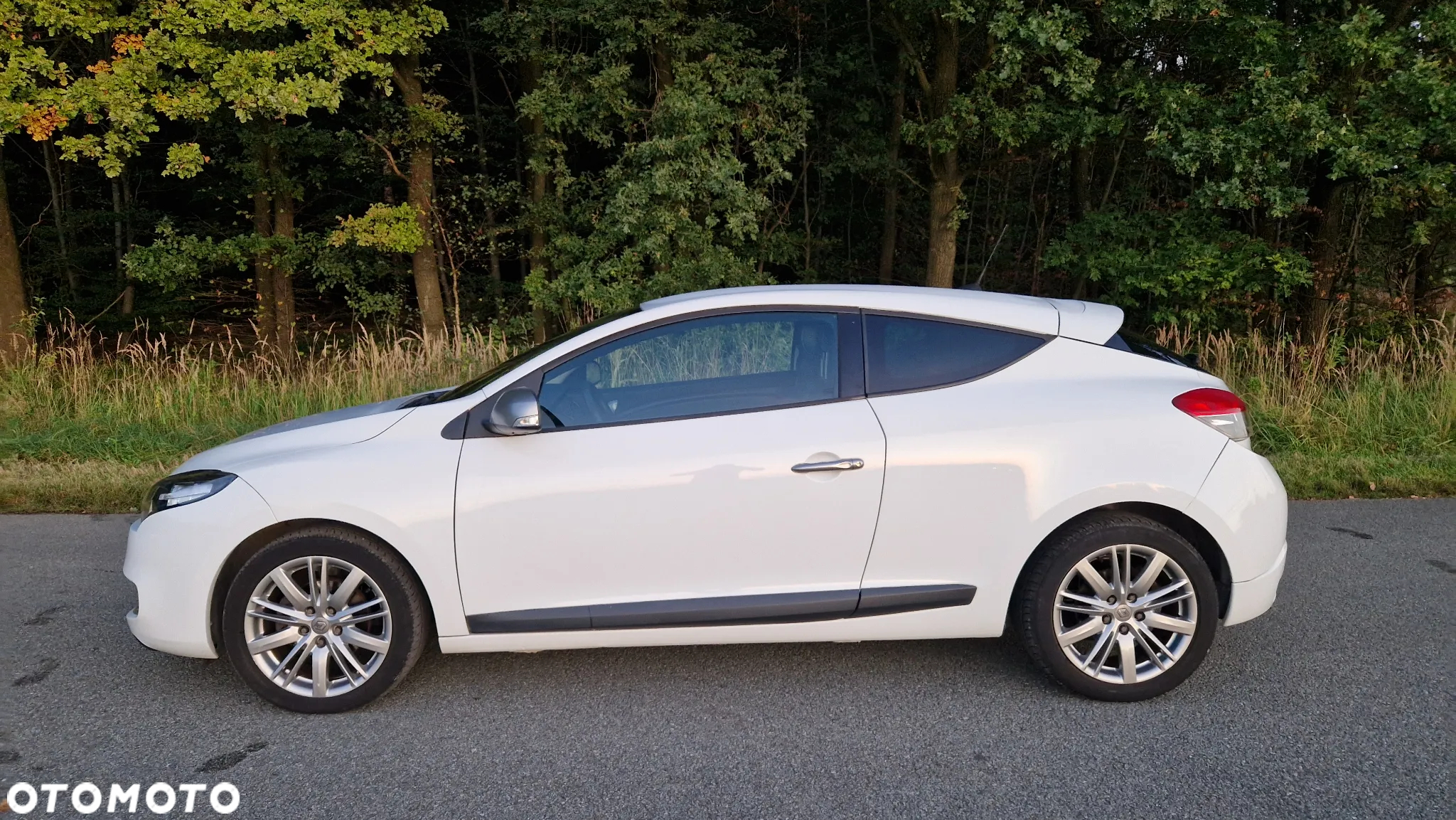 Renault Megane - 6