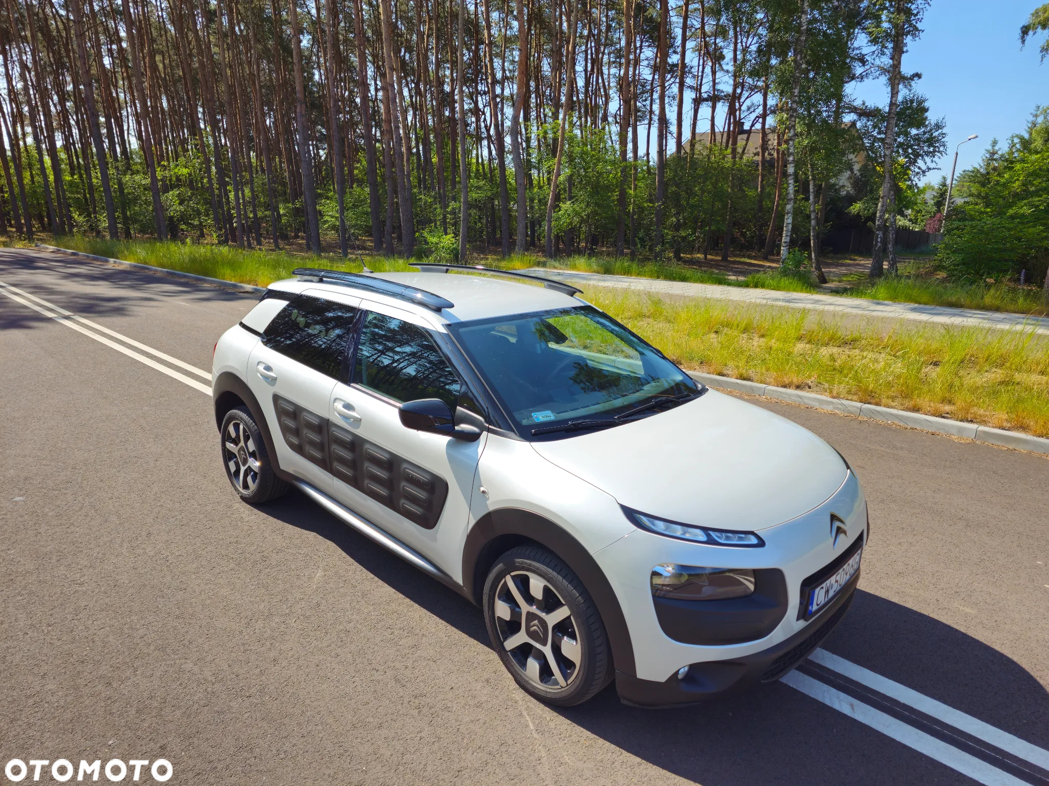 Citroën C4 Cactus 1.6 BlueHDi Shine - 10