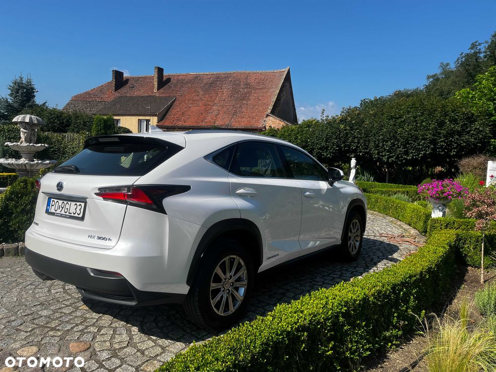 Lexus NX - 4